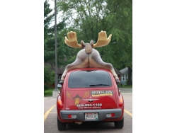 Moose Jaw PT Cruiser ~ Wisconsin Dells, Wisconsin