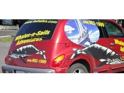 Whales N Sails Adventures PT Cruiser ~ New Brunswick, Canada